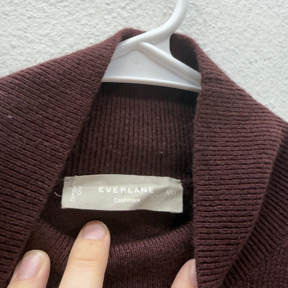 EVERLANE Brown 100% Cashmere Mock Neck Boxy Sweater SZ XXS Minimalist Academia - Picture 3 of 5